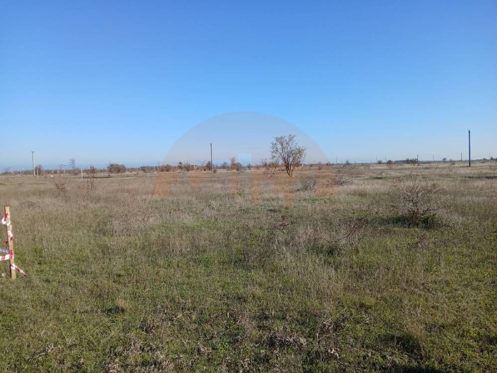 николаевка 1