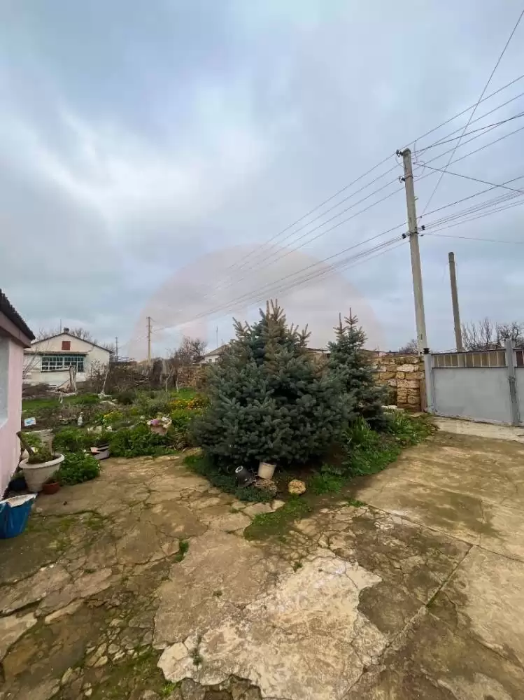 двор