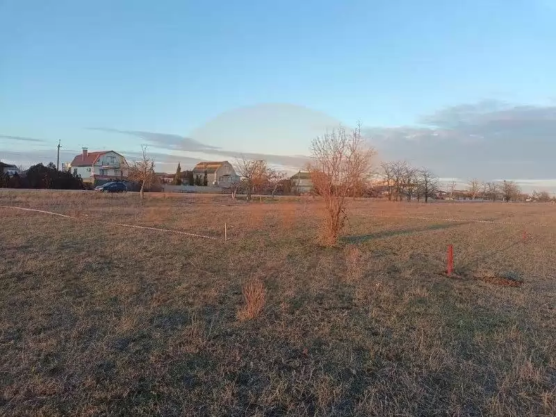 главная