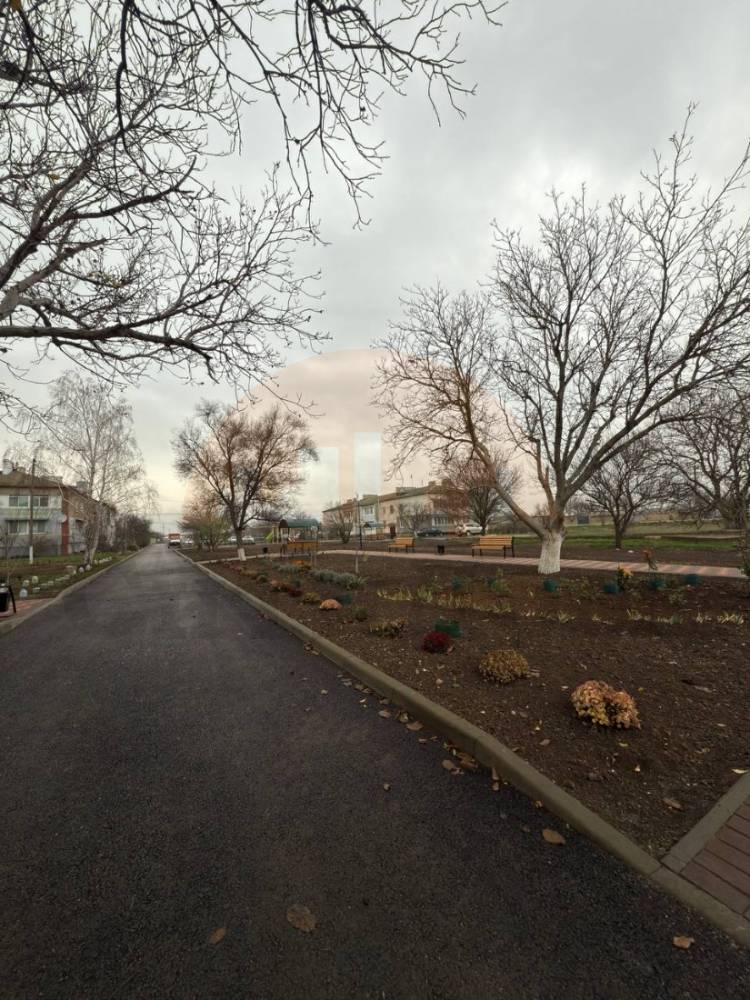 img_20260121_114409_848