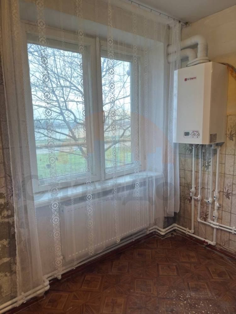 img_20260121_114410_260