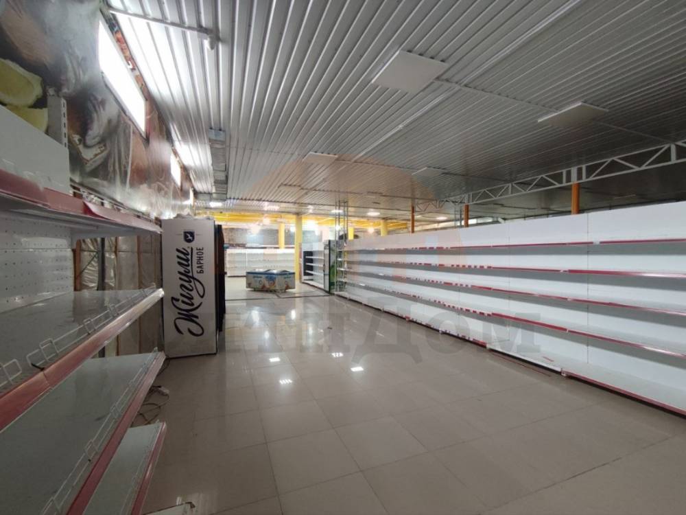 img_20260203_140551_184