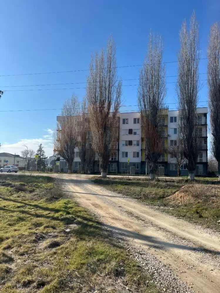 выезд на асфальтированную дорогу