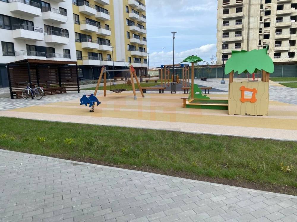 img_20260305_110442_648