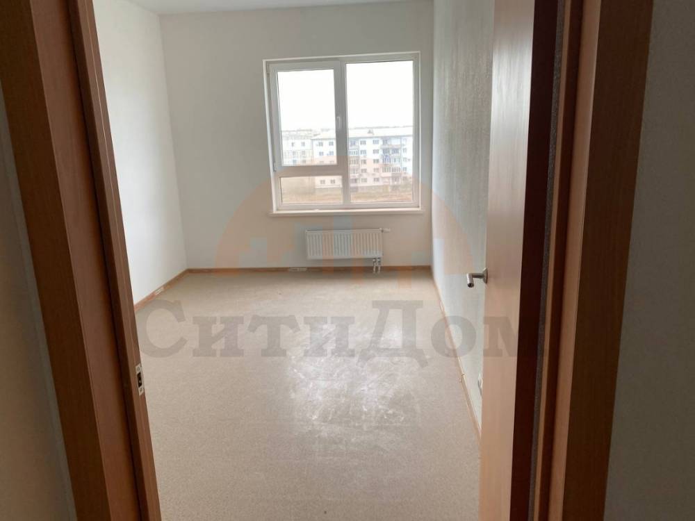 img_20260305_110442_651