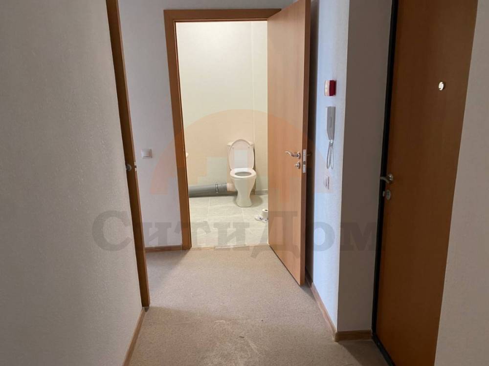 img_20260305_110442_839