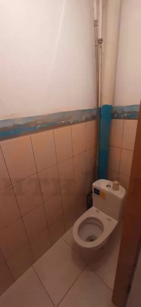 20260305_125134