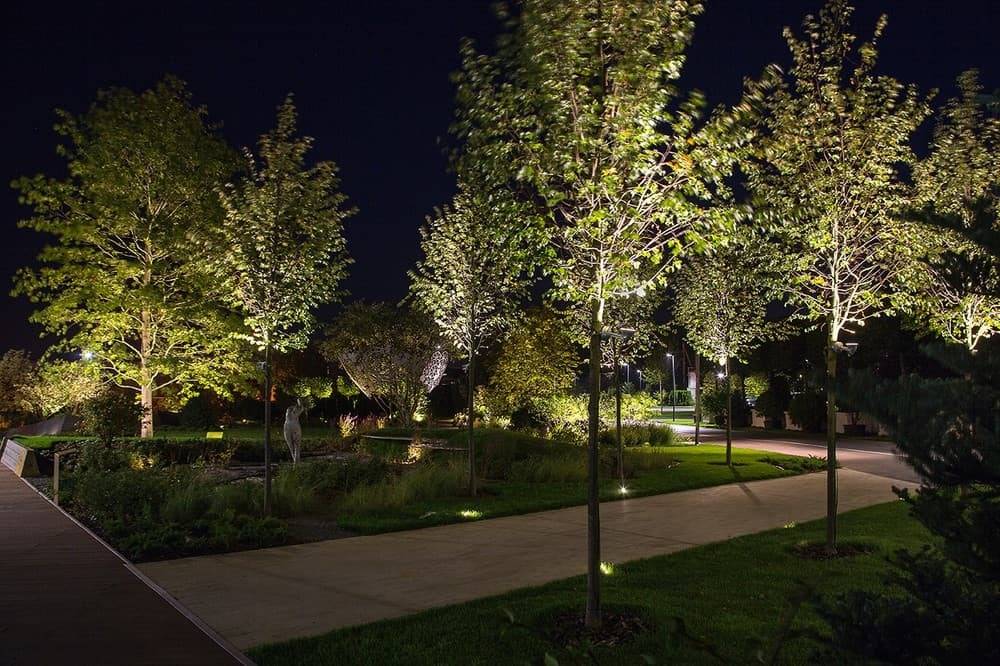 территория