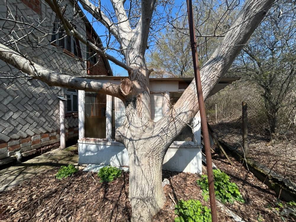 участок (беседка)